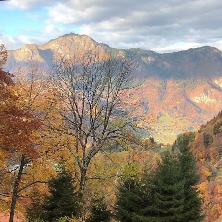 Chalet Du Bois Des Fugiers Ugine Dış mekan fotoğraf