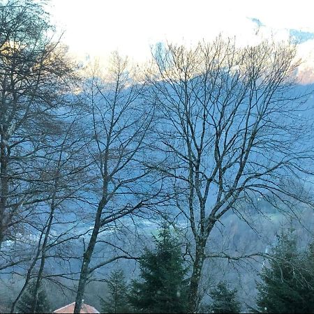 Chalet Du Bois Des Fugiers Ugine Dış mekan fotoğraf
